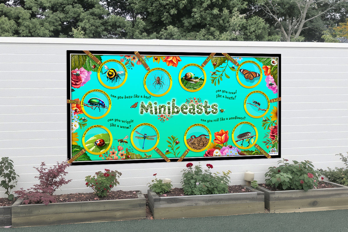 Eyfs Insect Display Minibeasts Learning Board for EYFS and Primary Schools â School Walls