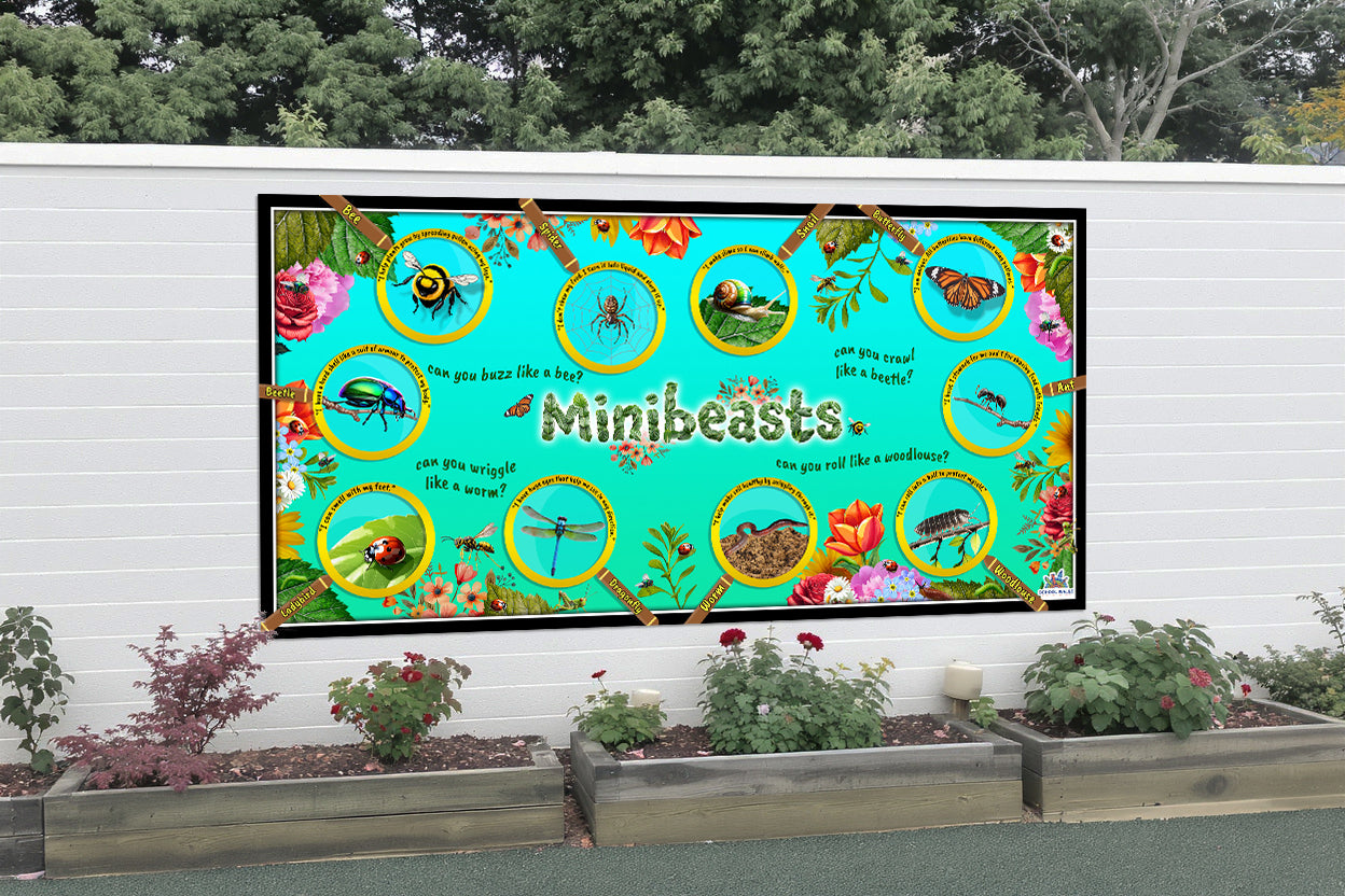 EYFS minibeasts learning board for primary school playgrounds showing illustrated insects and small creatures, perfect for science curriculum displays.