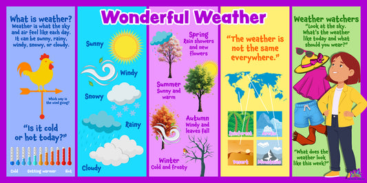 KS1 and EYFS weather learning board showing seasons, weather symbols and climate facts, ideal for primary science curriculum classroom displays.