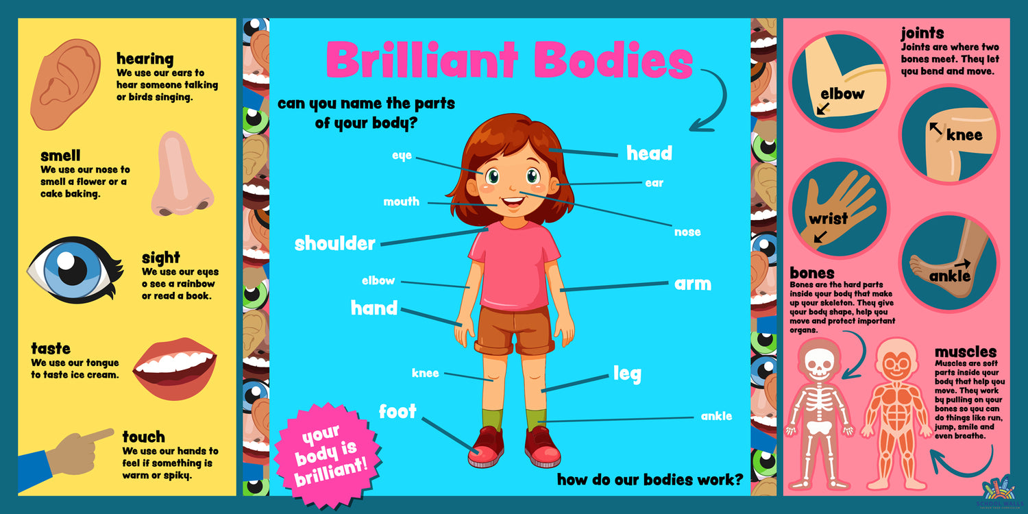 Human body learning board for children showing labelled body parts and simple diagrams of senses and bones.