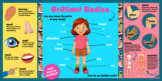 Human body learning board for children showing labelled body parts and simple diagrams of senses and bones.