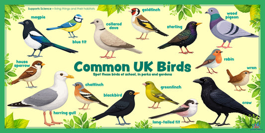 Common UK Birds - Board