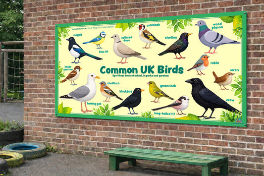 Common UK Birds - Board