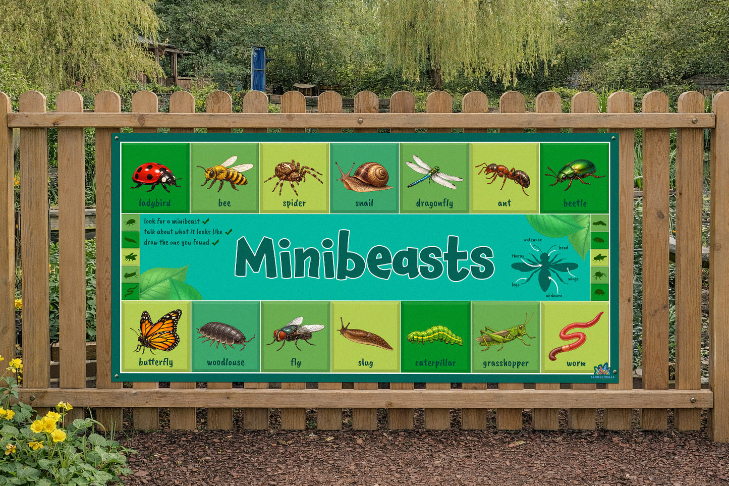 Meet the Minibeasts - Board