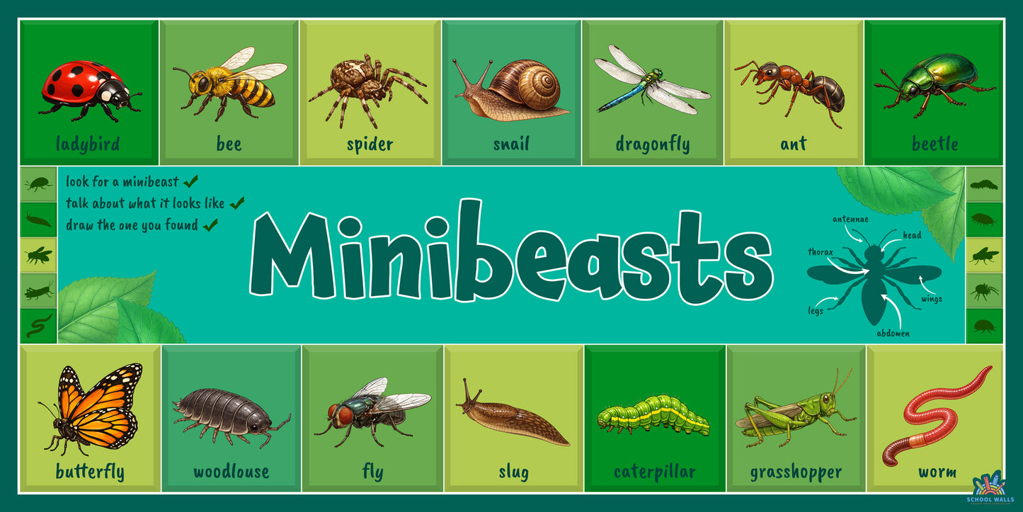 Durable minibeasts learning board for EYFS and KS1. Weather-resistant Foamex display featuring ladybirds, butterflies, spiders and more.
