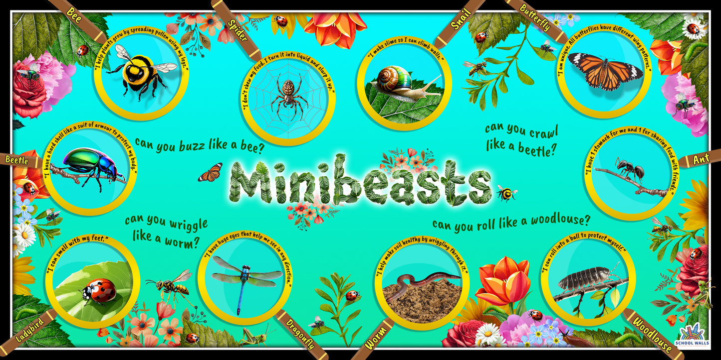 EYFS minibeasts learning board for primary schools showing illustrated insects and small creatures, perfect for science curriculum displays.