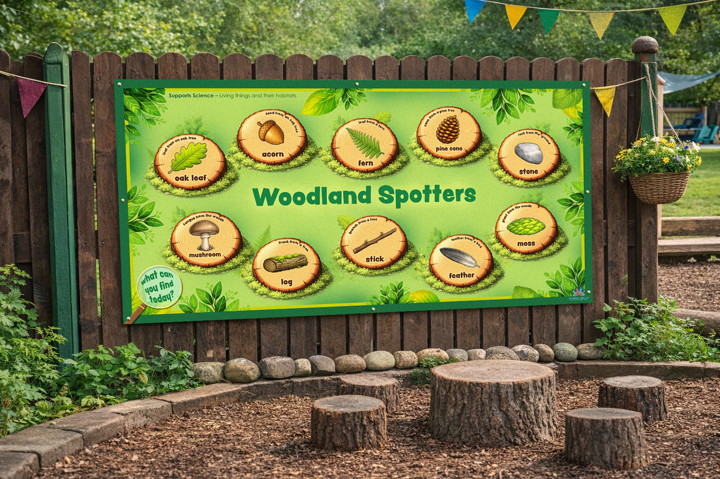 Forest School outdoor learning board for primary schools with woodland themes and identification labels