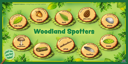 Forest School outdoor learning board for primary schools with woodland themes and identification labels